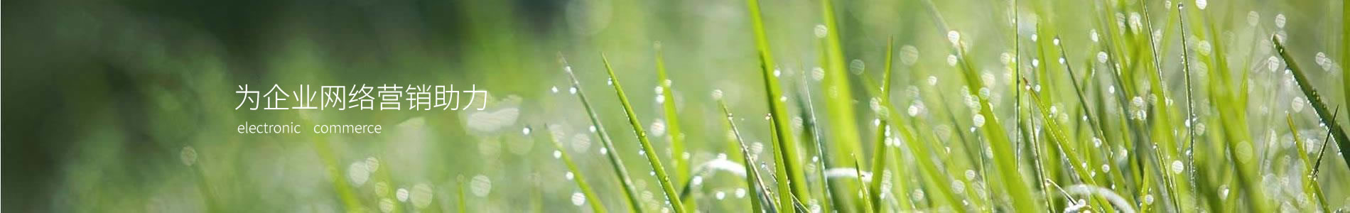 صˮ޹˾